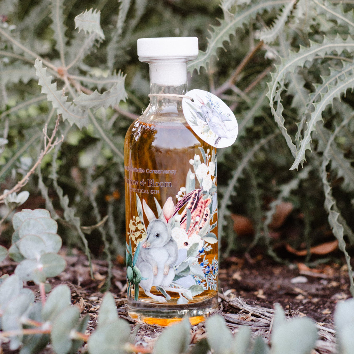 Burrow & Bloom Botanical Gin bottle against a banksia backdrop