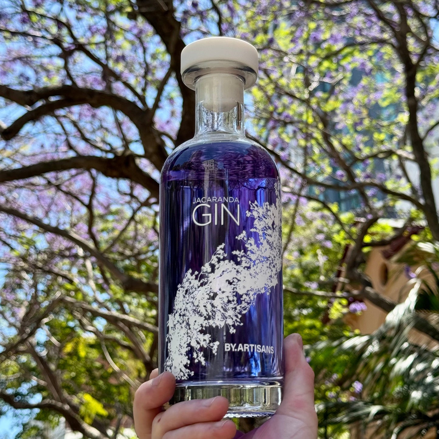 Jacaranda Gin